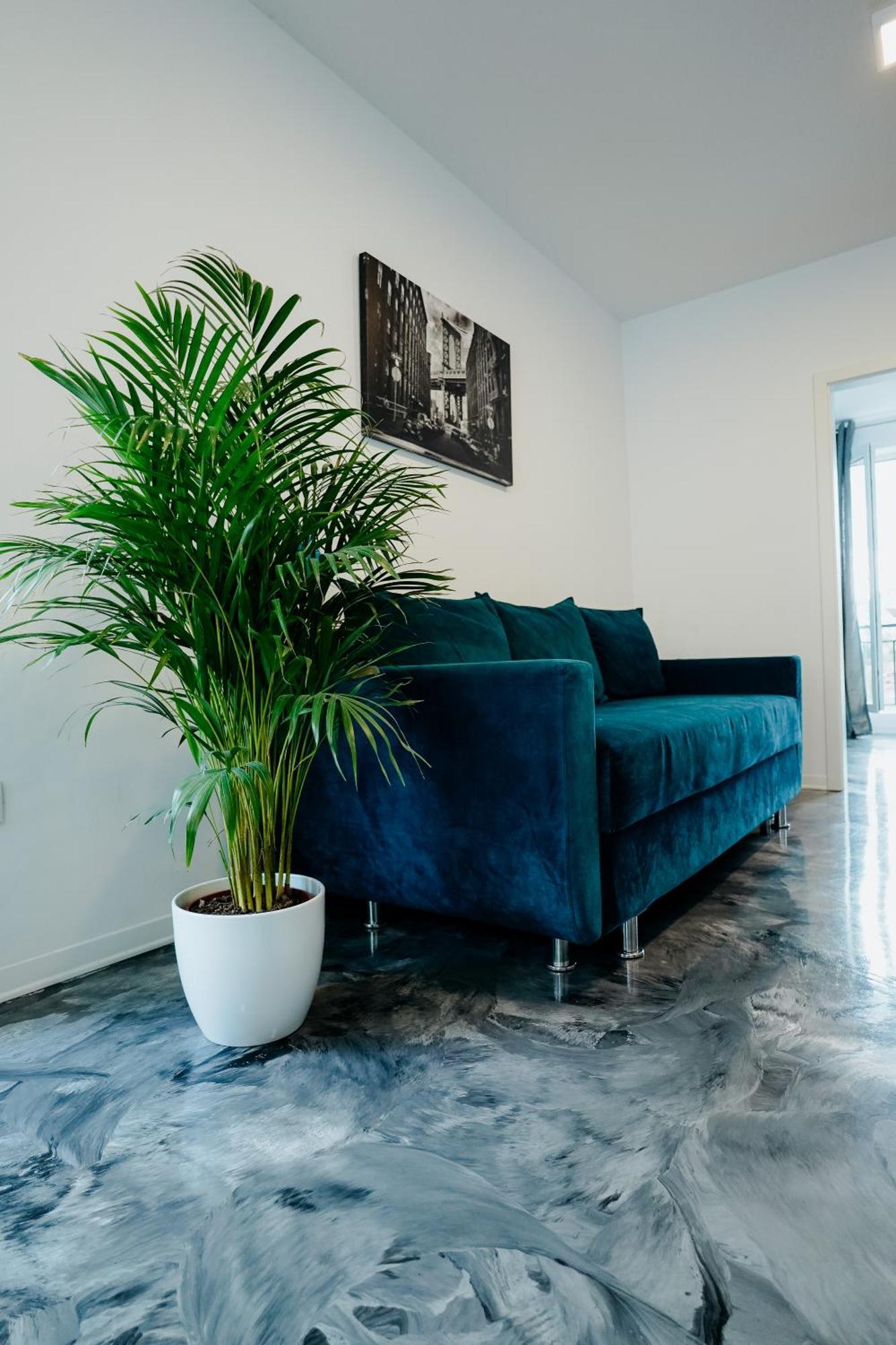 Andrew Apartaments كلوج-نابوكا المظهر الخارجي الصورة